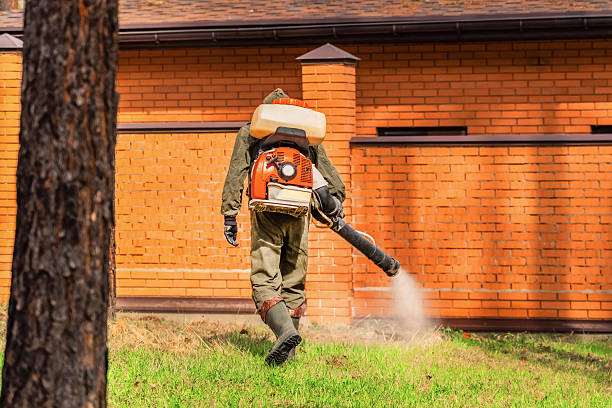 Top rated local Ant Control specialists in Heeia, HI